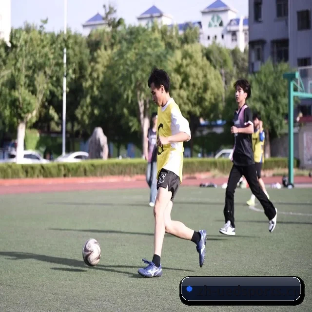 UED体育集团 APP 界面
